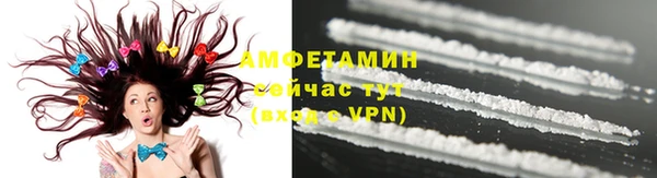 шишки Беломорск