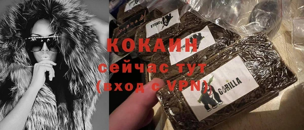 шишки Беломорск