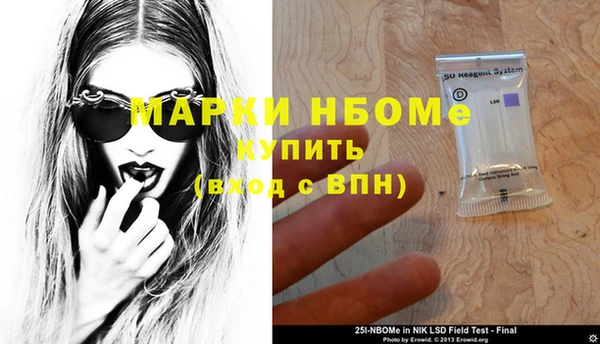 шишки Беломорск