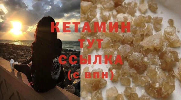 шишки Беломорск