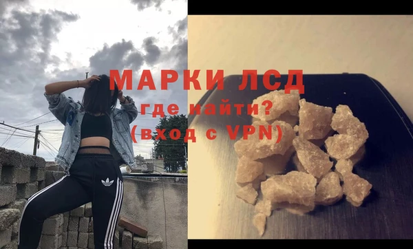 шишки Беломорск