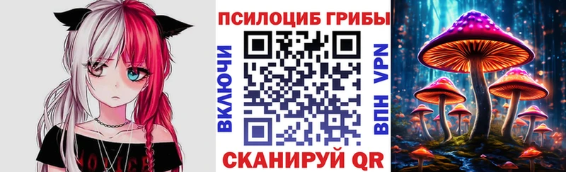 Псилоцибиновые грибы мицелий  Купить где  Гаврилов-Ям 